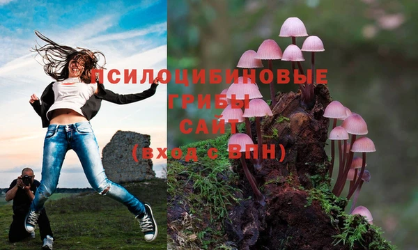 мдпв Арсеньев