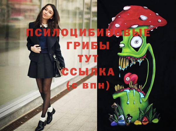 мдпв Арсеньев