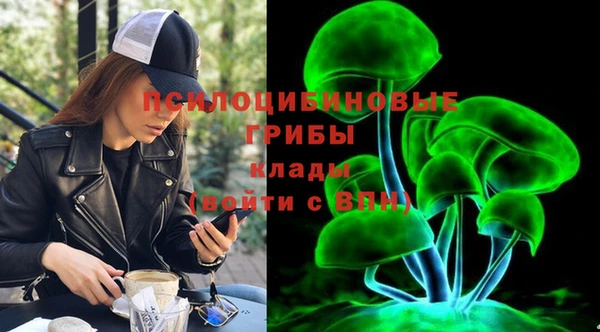 мдпв Арсеньев