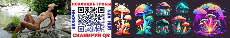 купить наркотик  Нижняя Тура  Галлюциногенные грибы Magic Shrooms 
